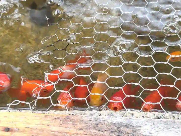 岸和田天神宮(大阪府)