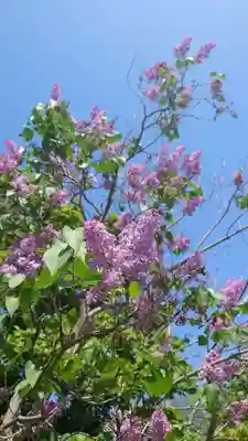 相馬神社(北海道)