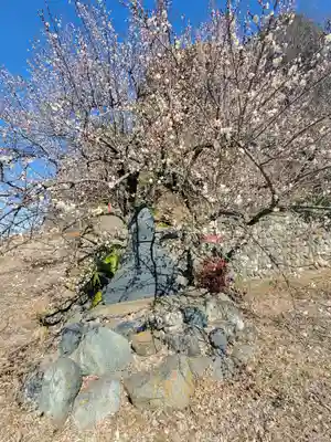 稲荷神社(借宿町)(栃木県)