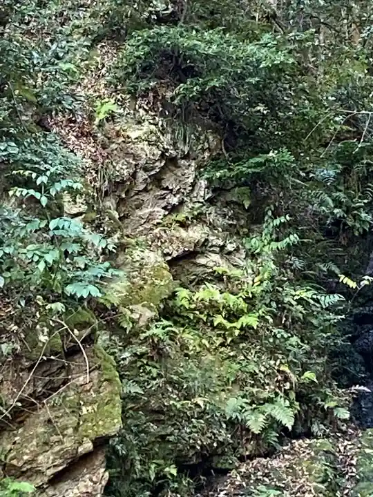 松尾大社(京都府)