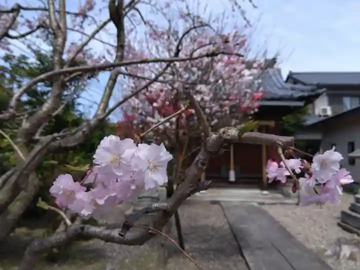 總社 和田八幡宮(福井県)