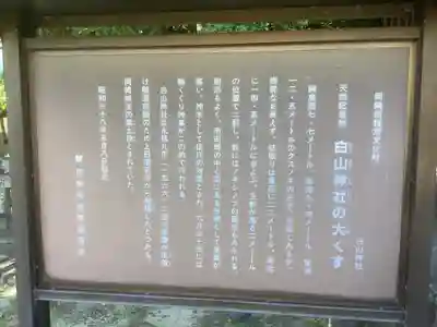 新田白山神社のその他建物