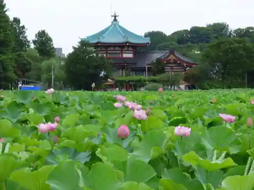 寛永寺不忍池弁天堂の本殿・本堂
