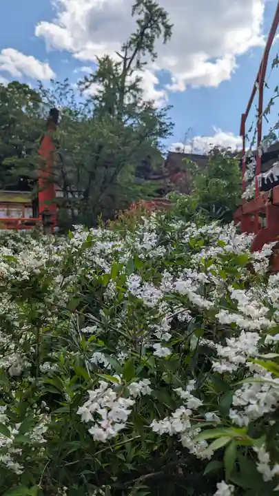 賀茂御祖神社(下鴨神社)(京都府)