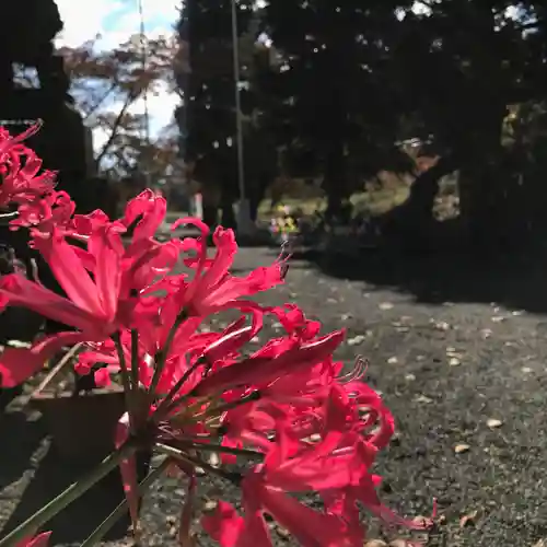 高司神社〜むすびの神の鎮まる社〜の自然