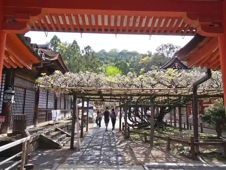 春日大社(奈良県)