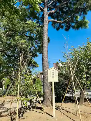 川崎大師（平間寺）(神奈川県)