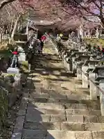 大山寺(神奈川県)