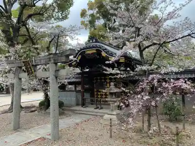 善峯寺の本殿・本堂