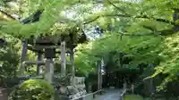 竹林寺(高知県)