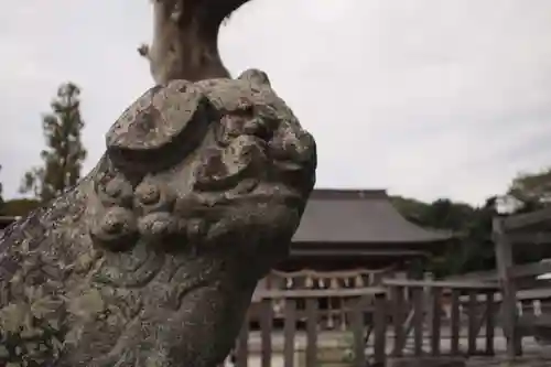 三柱神社の狛犬