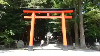 霧島神宮(鹿児島県)
