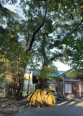 伊雜宮（皇大神宮別宮）(三重県)