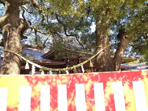 明治神宮(東京都)