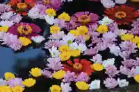 大鏑神社の手水舎