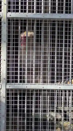 日吉大社(滋賀県)