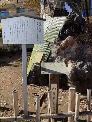 白山神社(東京都)