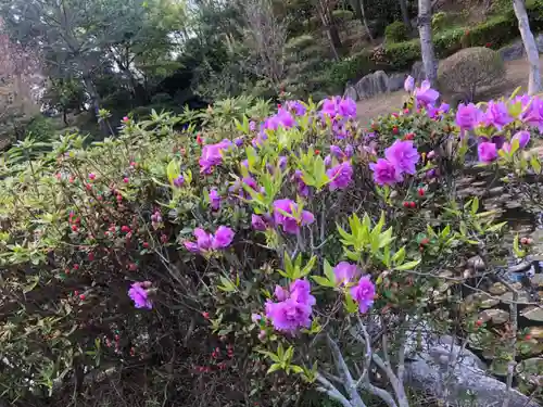 大生郷天満宮の庭園