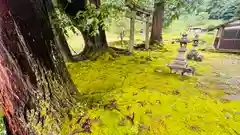 八幡神社(福井県)