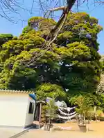九重神社のその他建物