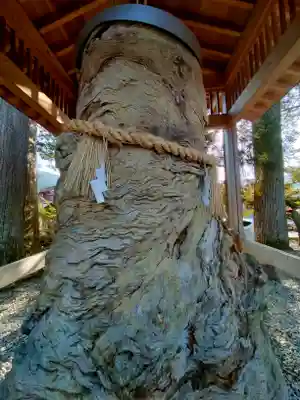 飛驒一宮水無神社(岐阜県)