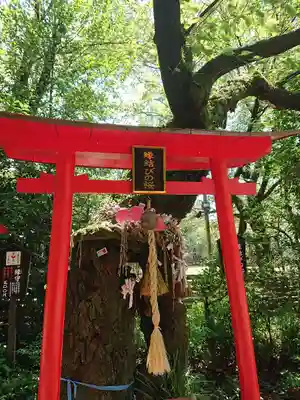 冠稲荷神社(群馬県)