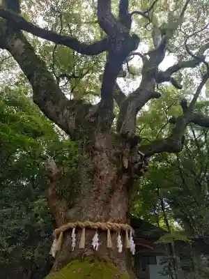 熱田神宮(愛知県)