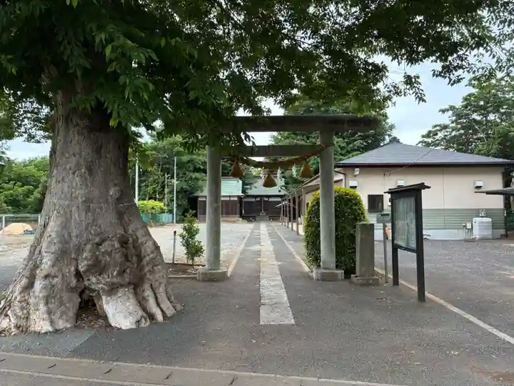 三社大神(千葉県)