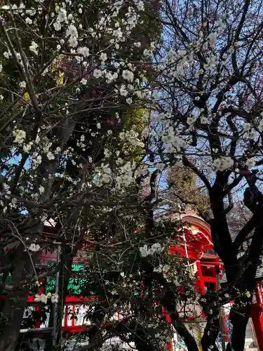 馬橋稲荷神社の{uncategorized: "未分類", other: "その他", undefined: "問題あり", building: "その他建物", grave: "お墓", sacred_gate: "鳥居", guardian: "狛犬", statue: "像", buddha: "仏像", history: "歴史", nature: "自然", garden: "庭園", animal: "動物", pagoda: "塔", temizu: "手水舎", mountain_gate: "山門・神門", sanctuary: "本殿・本堂", subordinate: "末社・摂社", art: "芸術", scenery: "景色", jizo: "地蔵", ema: "絵馬", goshuin: "御朱印", omikuji: "おみくじ", items: "授与品その他", amulet: "お守り", goshuincho: "御朱印帳", eats: "食事", festival: "お祭り", votive_dance: "神楽", shichigosan: "七五三参", wedding: "結婚式", experience: "体験その他", initially: "初詣", around: "周辺", anti_infection: "感染症対策"}