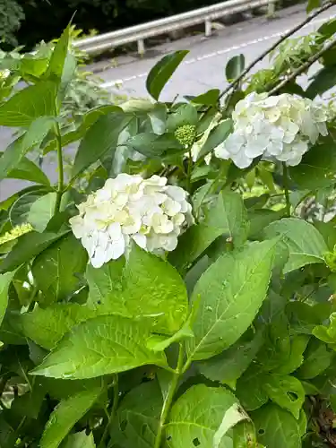 賀蘇山神社(栃木県)