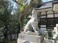 鳥越神社の狛犬