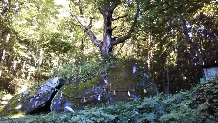 丹内山神社の自然