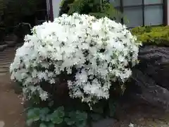 要法寺(神奈川県)