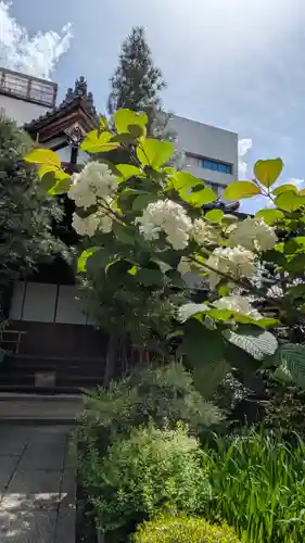 宝蔵寺(京都府)