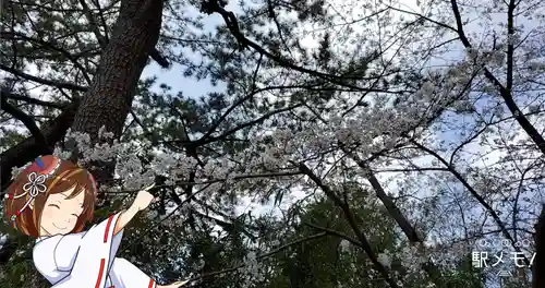 稲毛浅間神社の自然