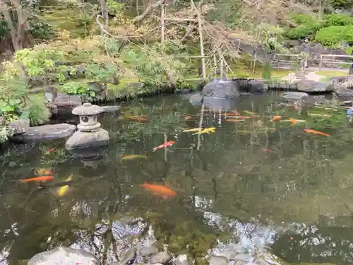 長谷寺の庭園