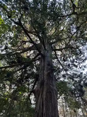 多田神社(兵庫県)