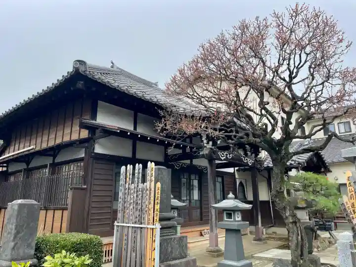 長運寺の{uncategorized: "未分類", other: "その他", undefined: "問題あり", building: "その他建物", grave: "お墓", sacred_gate: "鳥居", guardian: "狛犬", statue: "像", buddha: "仏像", history: "歴史", nature: "自然", garden: "庭園", animal: "動物", pagoda: "塔", temizu: "手水舎", mountain_gate: "山門・神門", sanctuary: "本殿・本堂", subordinate: "末社・摂社", art: "芸術", scenery: "景色", jizo: "地蔵", ema: "絵馬", goshuin: "御朱印", omikuji: "おみくじ", items: "授与品その他", amulet: "お守り", goshuincho: "御朱印帳", eats: "食事", festival: "お祭り", votive_dance: "神楽", shichigosan: "七五三参", wedding: "結婚式", experience: "体験その他", initially: "初詣", around: "周辺", anti_infection: "感染症対策"}