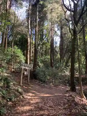 大日天子(千葉県)