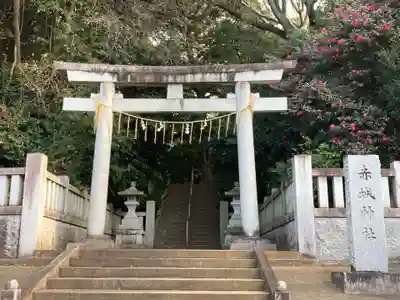 赤城神社(千葉県)