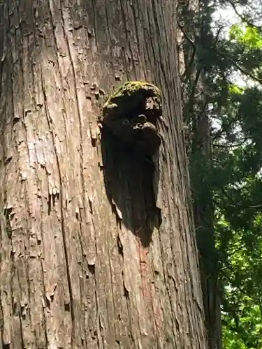 戸隠神社九頭龍社(長野県)