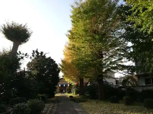 香取神社（旭町香取神社・大鳥神社）の自然