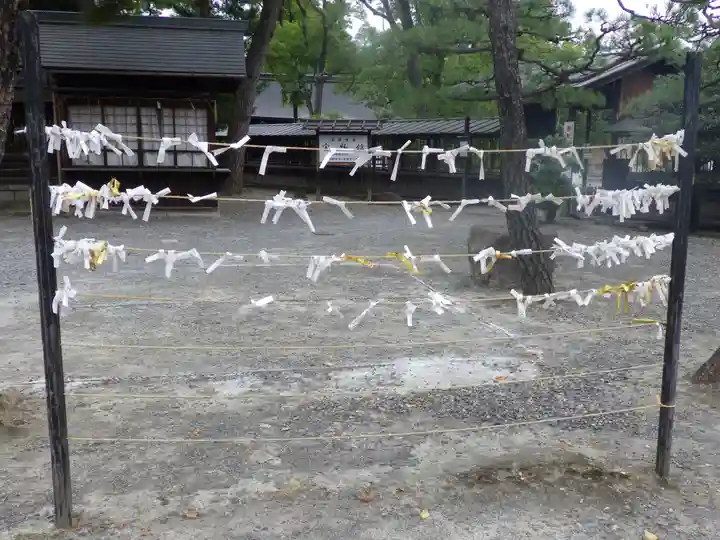 豊国神社のおみくじ