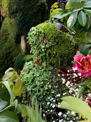 法善寺(大阪府)