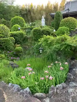 竜湖寺(千葉県)