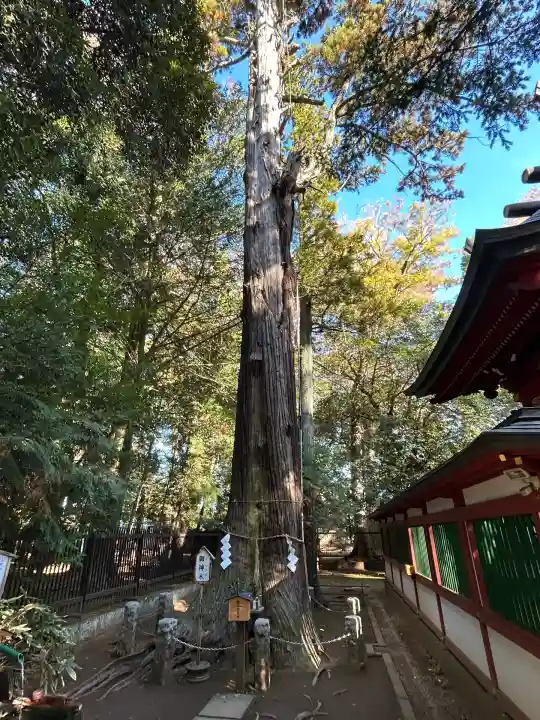 一言主神社(茨城県)