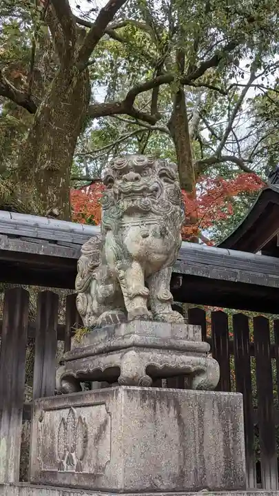 離宮八幡宮の狛犬