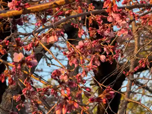 観音神社(広島県)