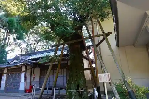 水度神社のその他建物