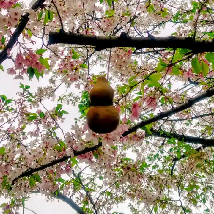 秋葉神社の{uncategorized: "未分類", other: "その他", undefined: "問題あり", building: "その他建物", grave: "お墓", sacred_gate: "鳥居", guardian: "狛犬", statue: "像", buddha: "仏像", history: "歴史", nature: "自然", garden: "庭園", animal: "動物", pagoda: "塔", temizu: "手水舎", mountain_gate: "山門・神門", sanctuary: "本殿・本堂", subordinate: "末社・摂社", art: "芸術", scenery: "景色", jizo: "地蔵", ema: "絵馬", goshuin: "御朱印", omikuji: "おみくじ", items: "授与品その他", amulet: "お守り", goshuincho: "御朱印帳", eats: "食事", festival: "お祭り", votive_dance: "神楽", shichigosan: "七五三参", wedding: "結婚式", experience: "体験その他", initially: "初詣", around: "周辺", anti_infection: "感染症対策"}